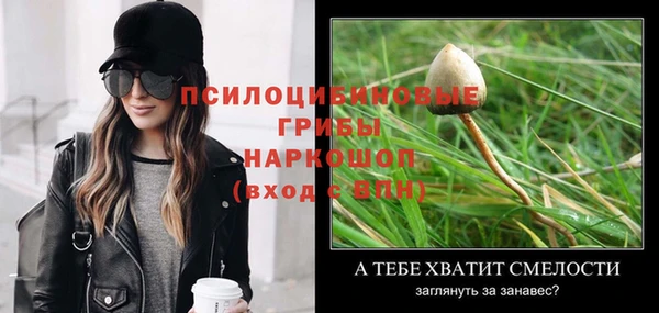 ПСИЛОЦИБИНОВЫЕ ГРИБЫ Алексин
