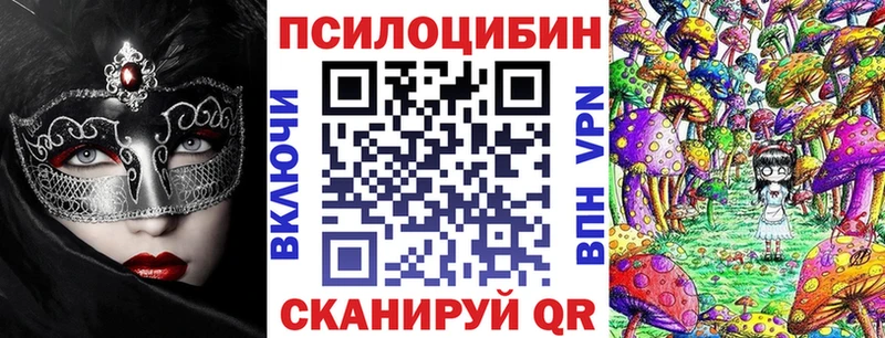 Псилоцибиновые грибы Psilocybine cubensis  дарнет шоп  Гаврилов Посад 